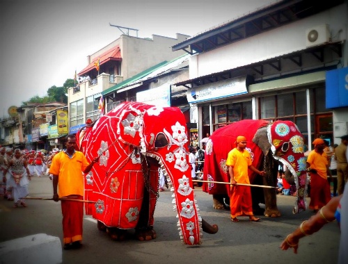 Jaya Tomodachi image 12