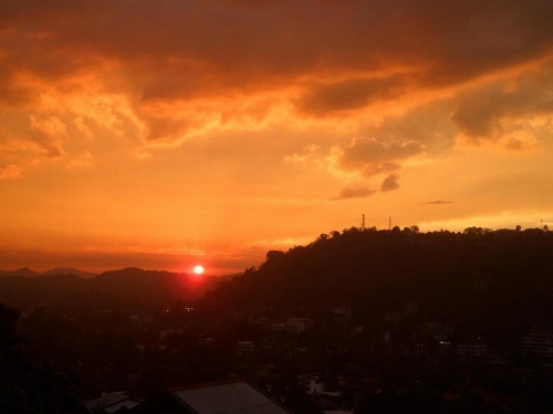 Jaya Tomodachi image 25