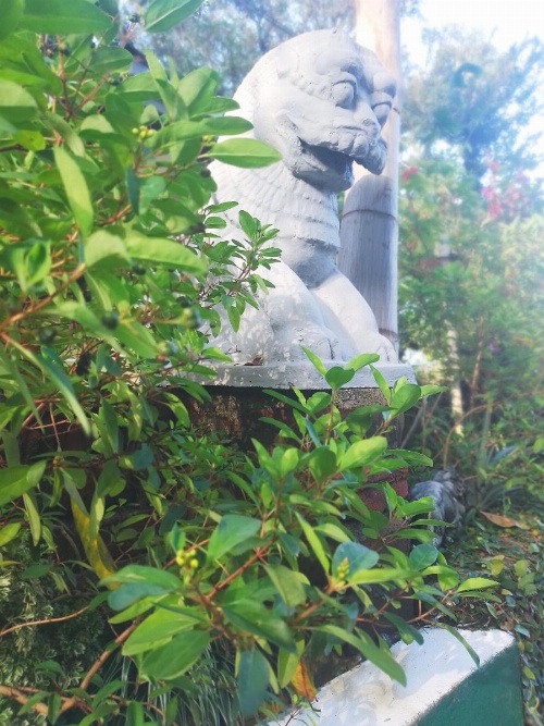 Jaya Tomodachi image 31