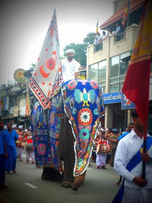 Jaya Tomodachi image 32