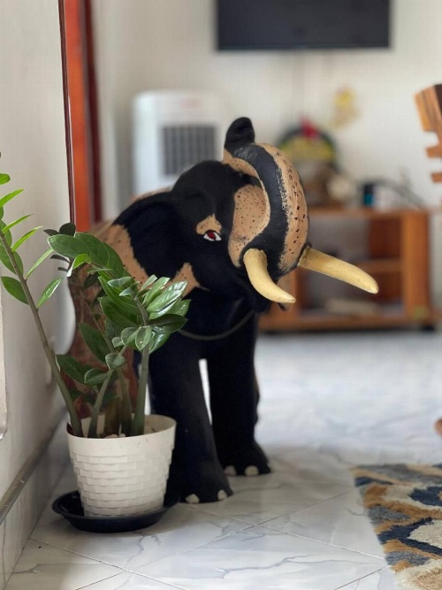 Jaya Tomodachi image 34