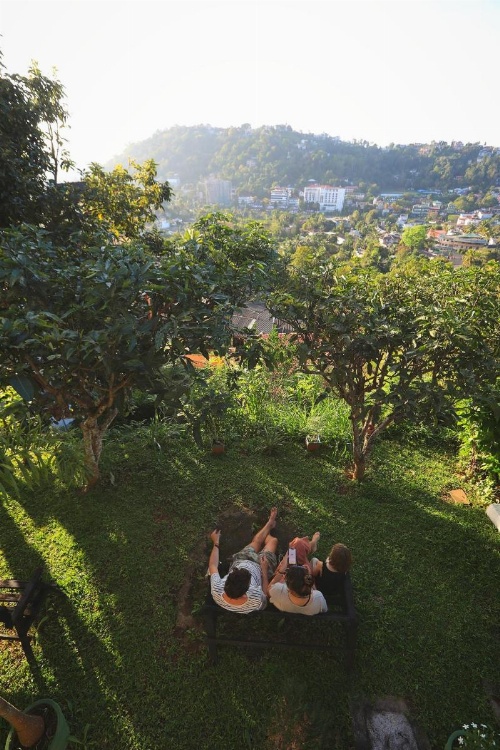 Jaya Tomodachi image 40