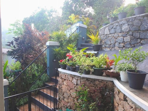 Jaya Tomodachi image 9